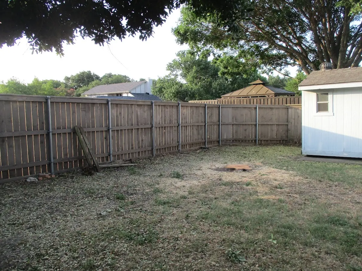 Cleared yard after professional tree removal in Rogers City