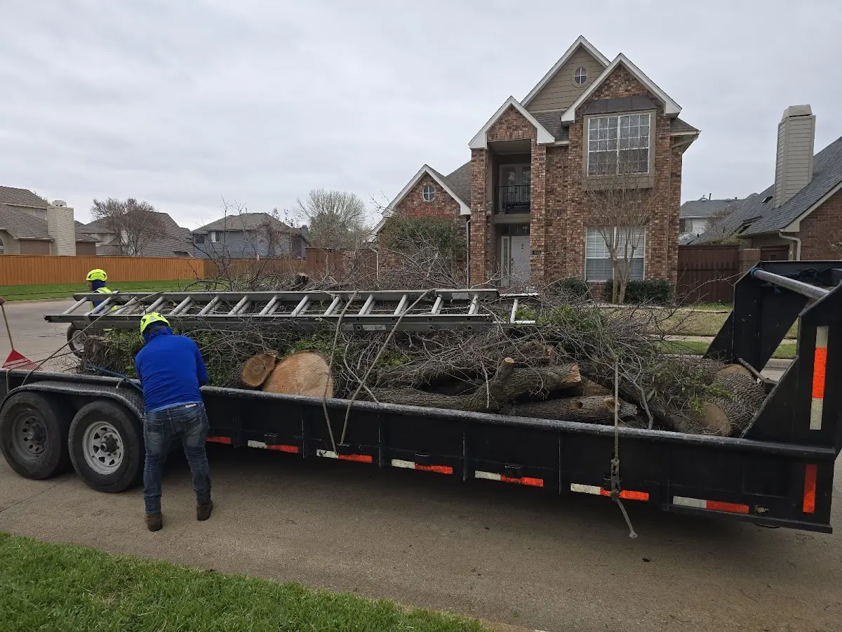 Expert Tree Removal with proper safety equipment in Rogers City